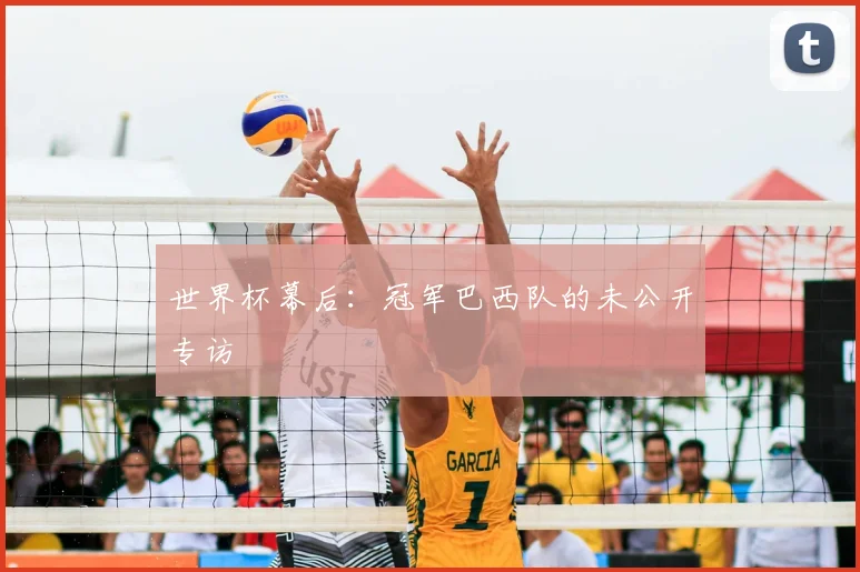 世界杯幕后：冠军巴西队的未公开专访