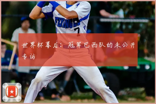 世界杯幕后：冠军巴西队的未公开专访