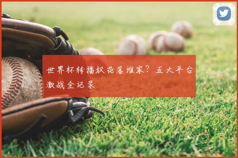 世界杯转播权花落谁家？五大平台激战全记录