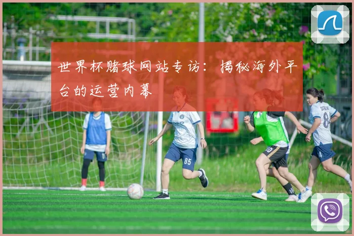 世界杯赌球网站专访:揭秘海外平台的运营内幕