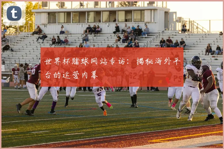 世界杯赌球网站专访:揭秘海外平台的运营内幕